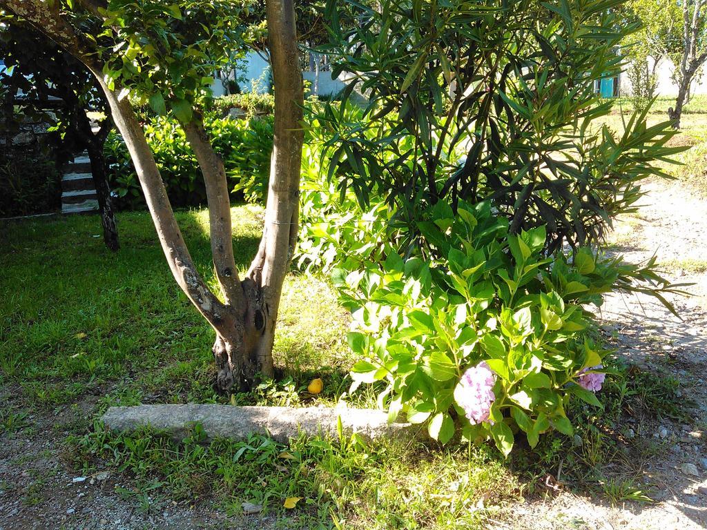 Casa Do Fiscal Villa Barroselas Rom bilde
